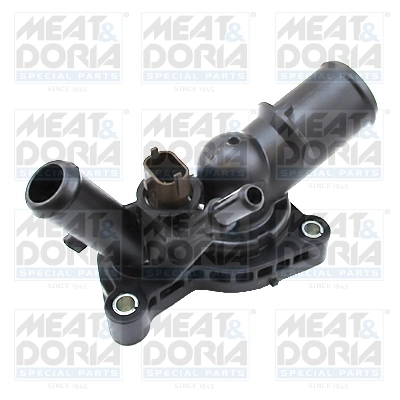 Thermostat, coolant